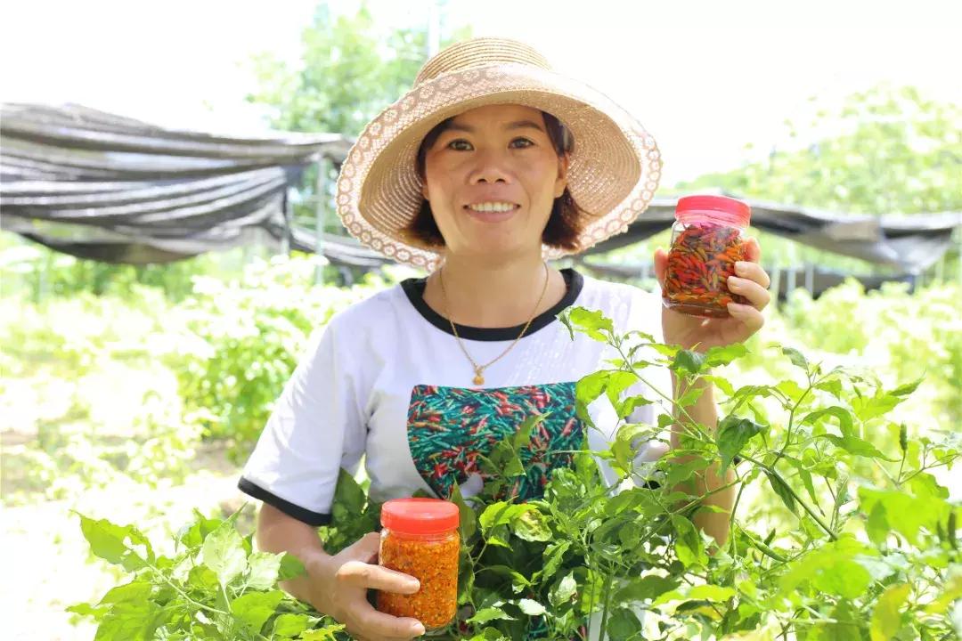 海南乡未来繁荣蓝图，最新发展规划揭秘