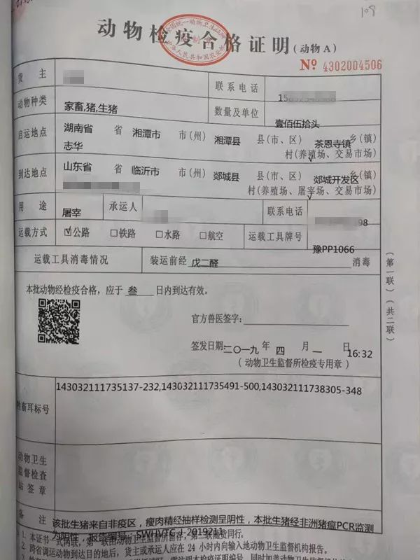 翁牛特旗防疫检疫站人事任命揭晓，塑造未来防疫新篇章