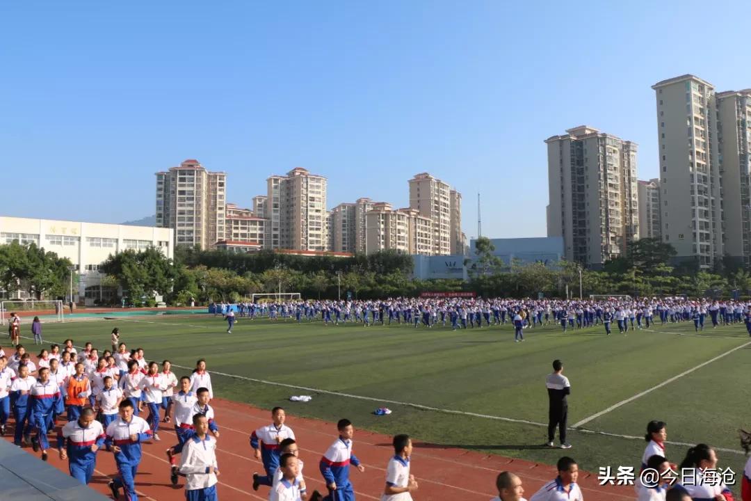 海沧区图书馆最新招聘启事概览