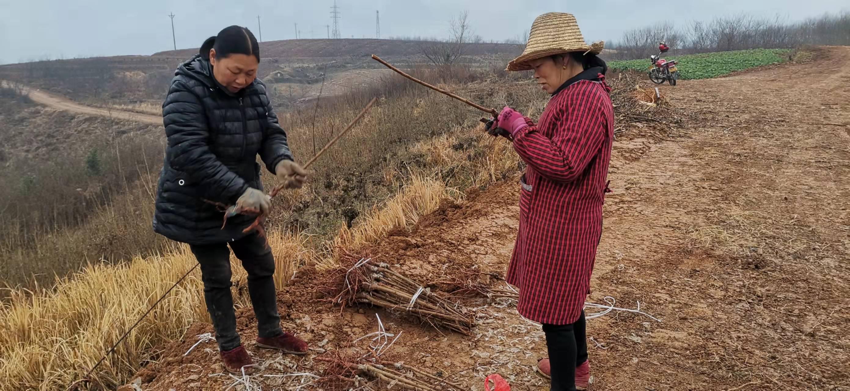 石泉县市场监督管理局最新招聘启事概览