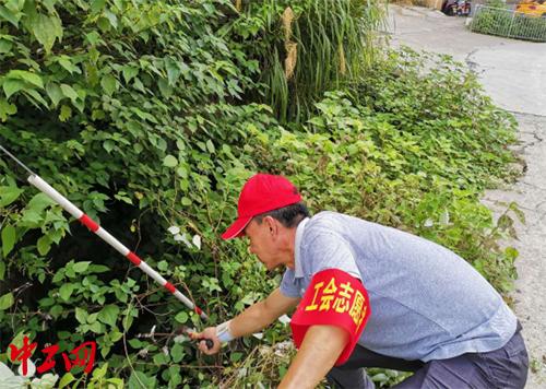 黄山市卫生局最新发展规划概览