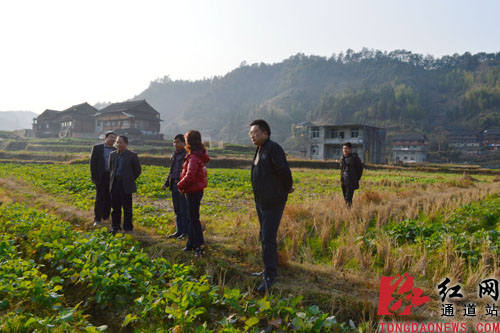 坦坪乡新项目启动，乡村振兴新引擎