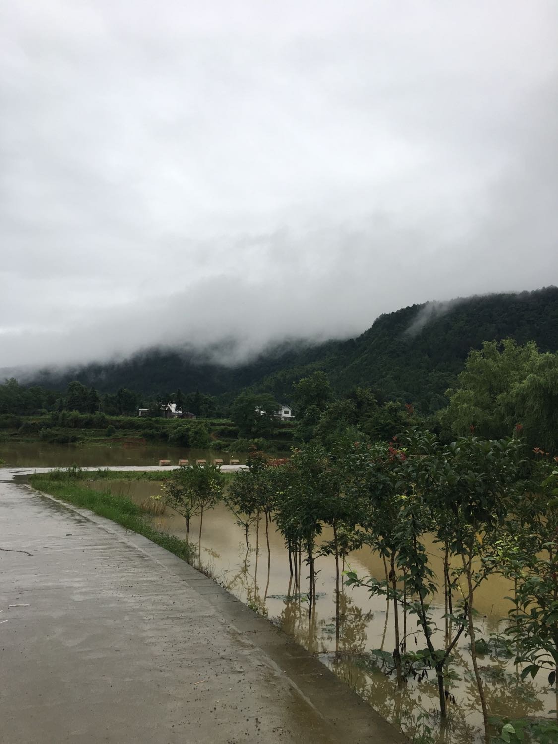 游溪镇天气预报更新通知