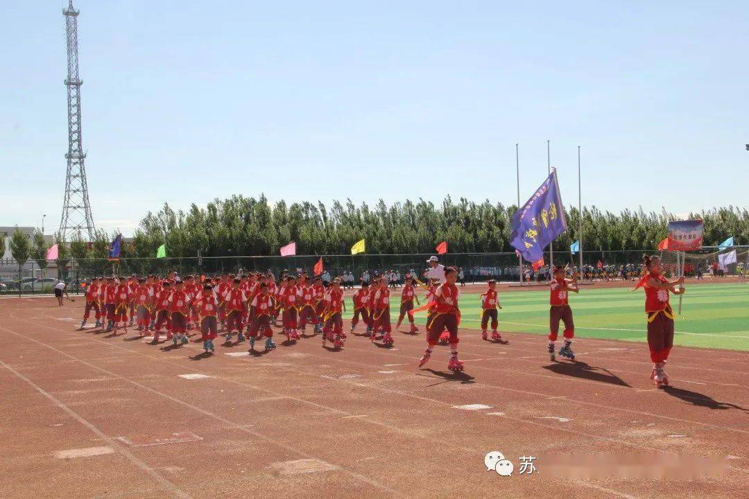 苏尼特右旗体育馆最新项目，现代化体育新地标崛起