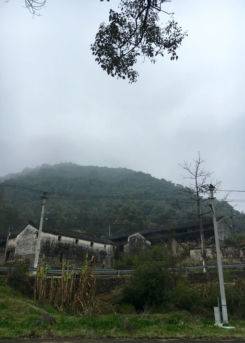 石黄镇天气预报更新通知