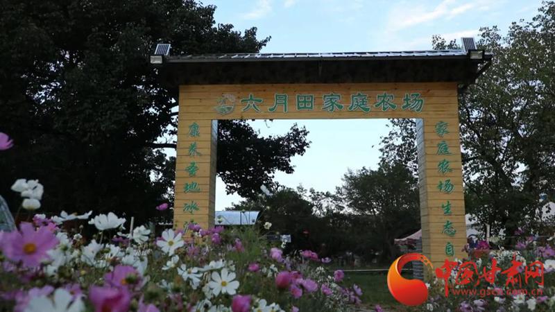 祁连村委会最新动态报道